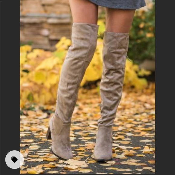 NanaMacs Shoes - NanaMacs Taupe Thigh High Boots🤎